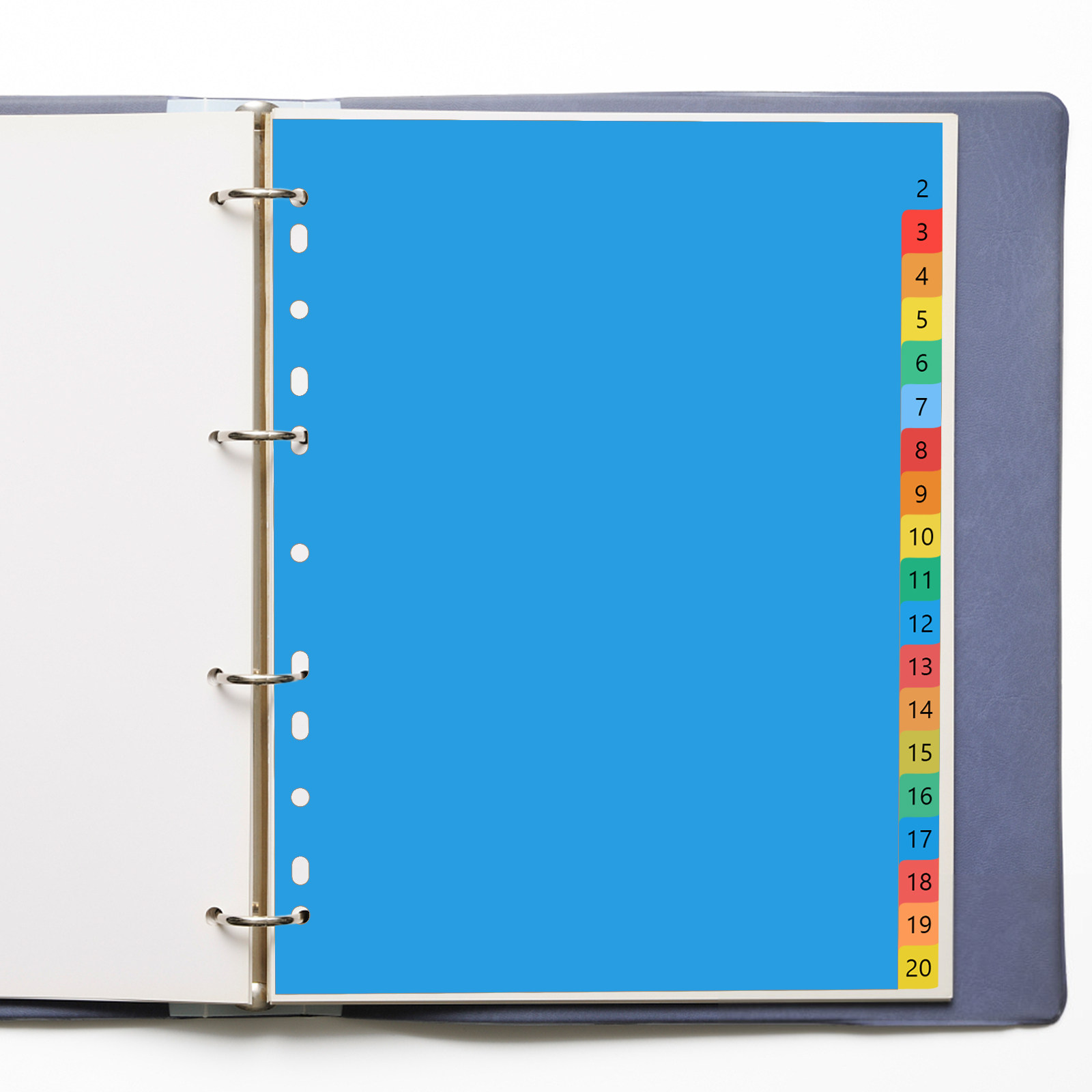 Tab Divider A4 - 20-seitige A4-Farbige Kunststoff-Trennblätter mit Indexetiketten für