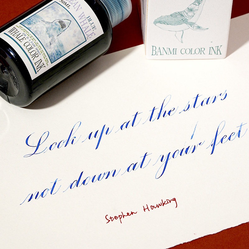 Banmi Whale Series Füllfederha – Fountain Pen Bottled Ink Bewertung und Preis