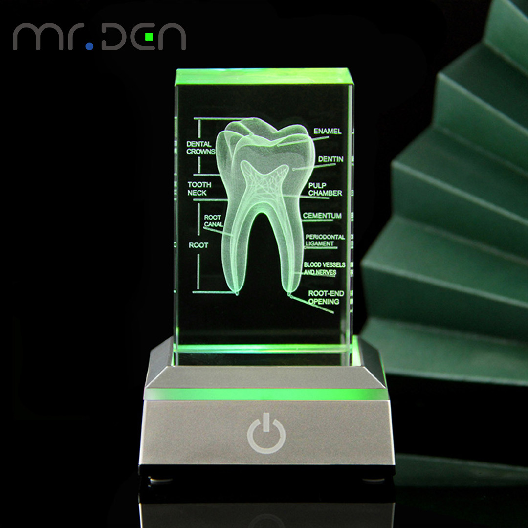 Dental 3D Laser Gravierte Mens – Paper Weight Crystal Bewertung und Preis