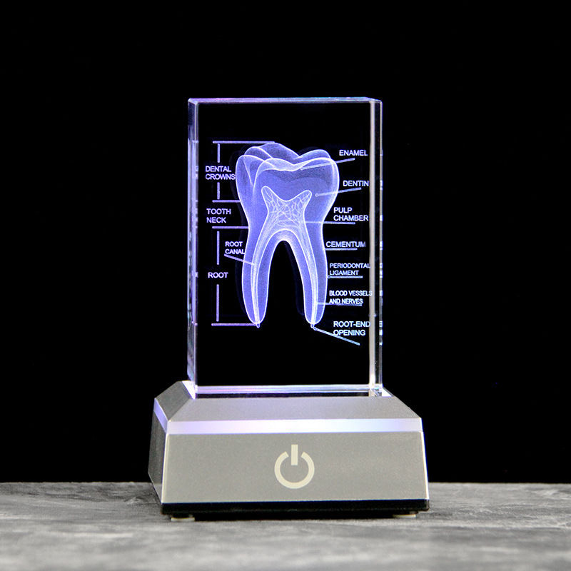 Dental 3D Laser Gravierte Mens – Paper Weight Crystal Bewertung und Preis
