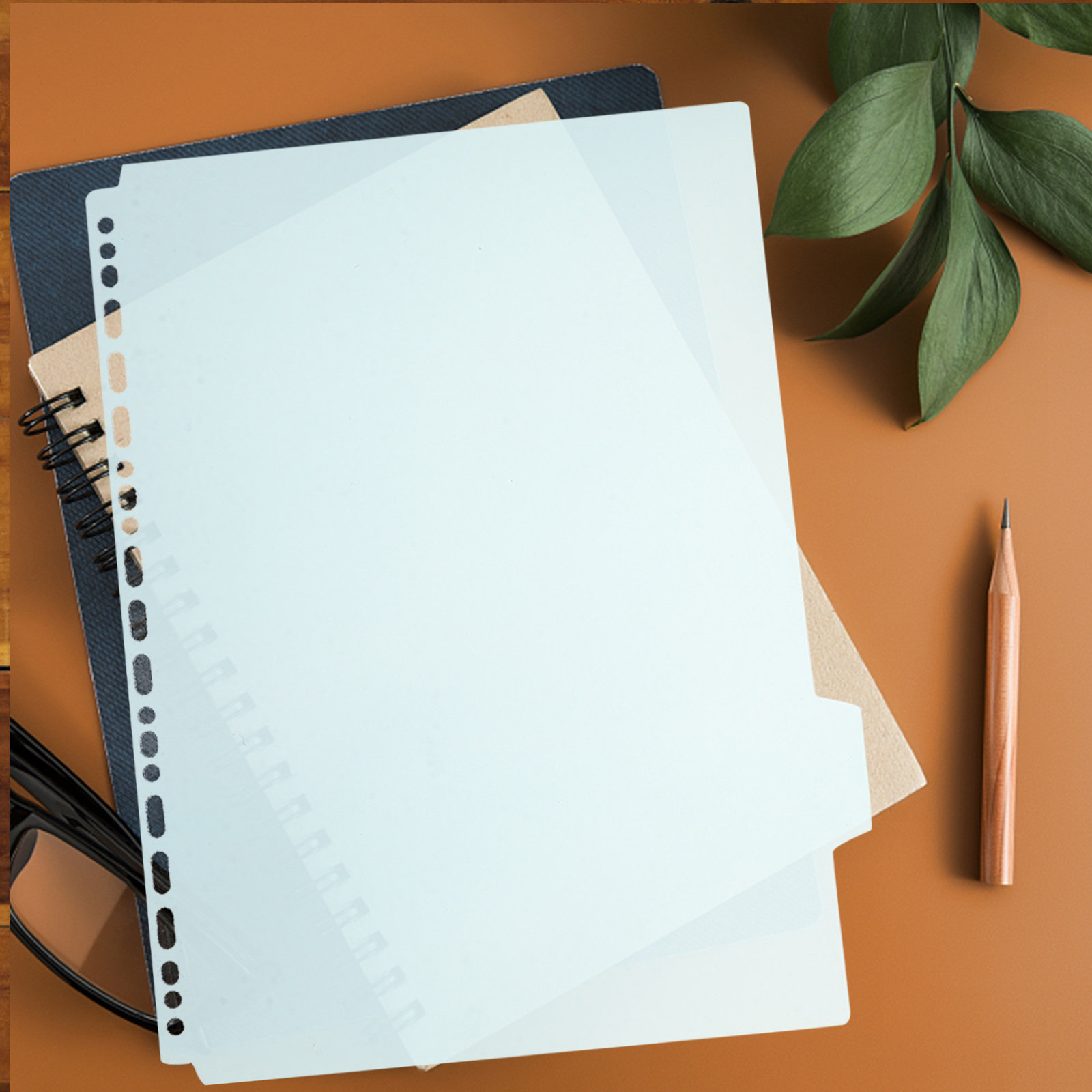 6 Stück Registerblätter mit Re – Tab Divider A4 Bewertung und Preis