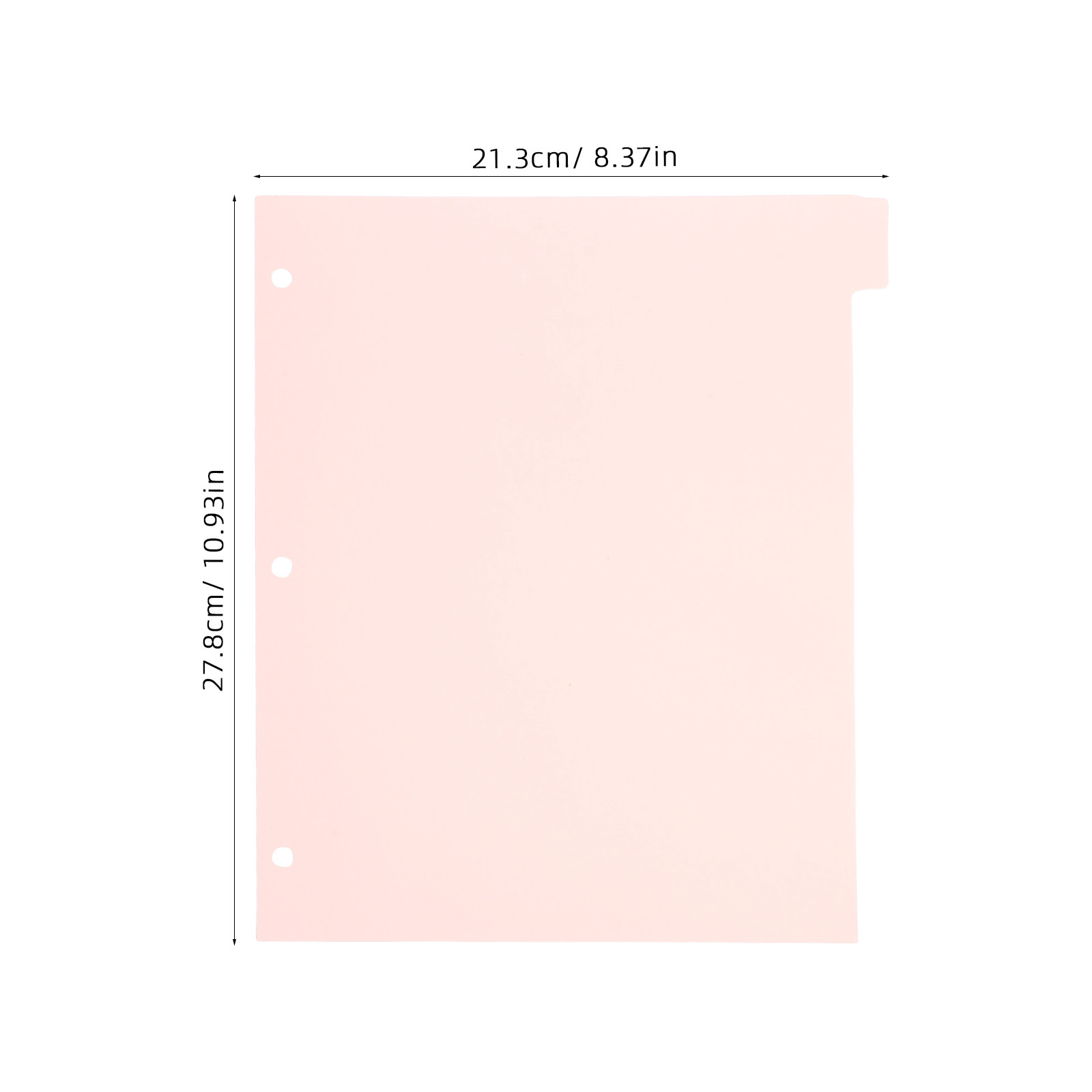 8 Blatt starke, robuste Regist – Tab Divider A4 Bewertung und Preis